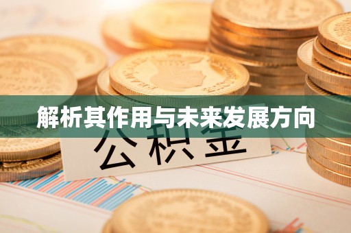 长顺解析其作用与未来发展方向