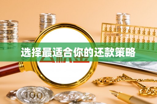 长顺选择最适合你的还款策略